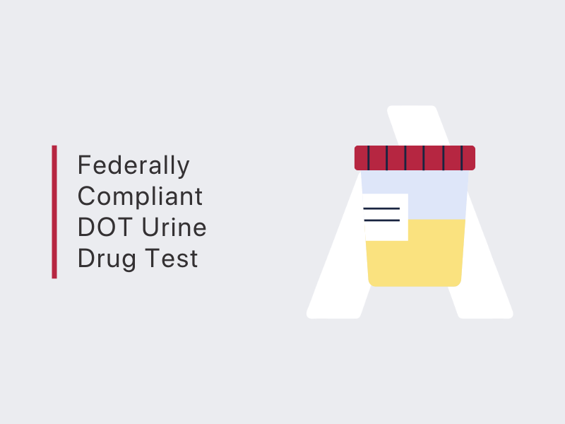 DOT Urine Drug Test - Federally Mandated Screening for Workplace Safety