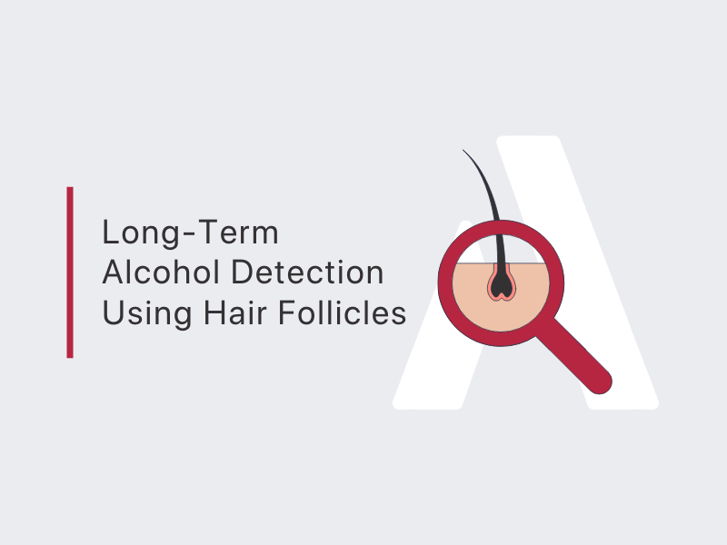 HAIR TEST ETG ALCOHOL - Long-Term Alcohol Detection Using Hair Follicles